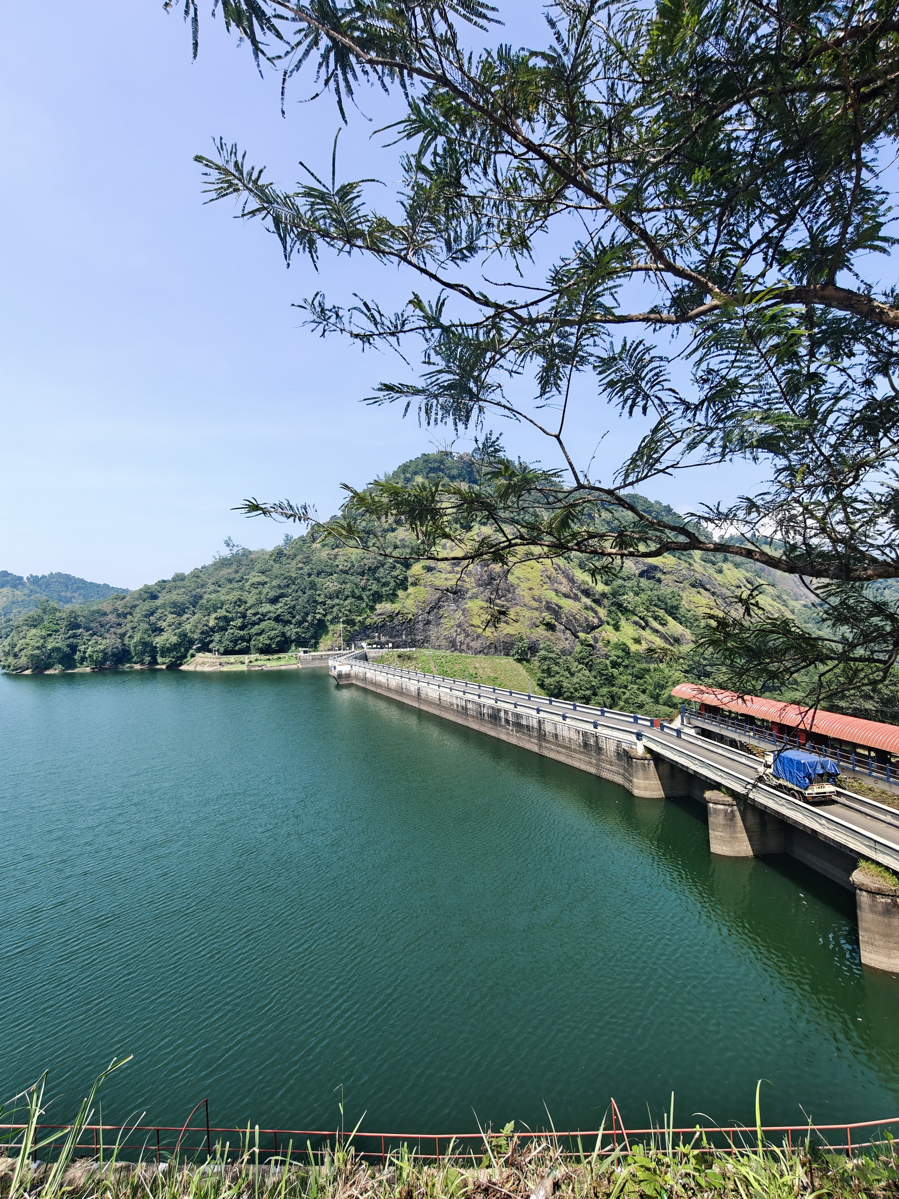Exploring Munnar: A Day of Discovery